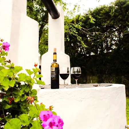 El Cortijo Andaluz *