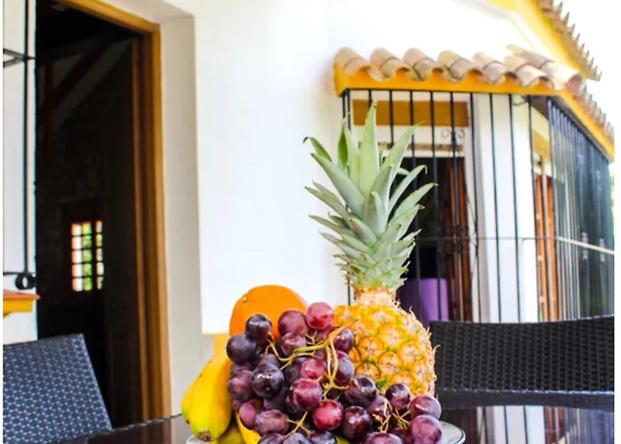 El Cortijo Andaluz *